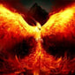 FC STORE