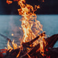 FireForge