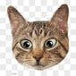WUHU