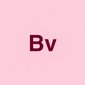 Bvalent