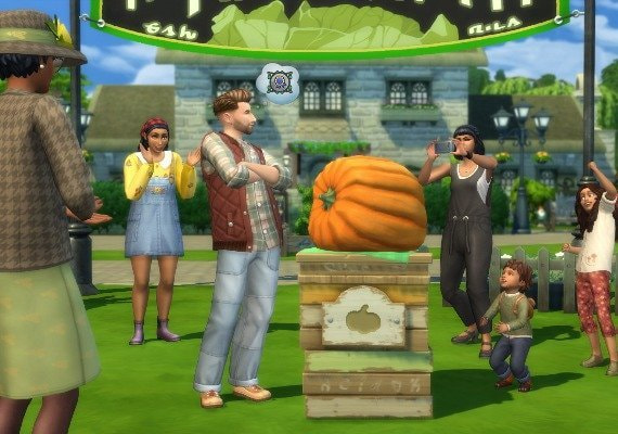 Enter the Finchwick Fair competitions and show off what you grew on your farm