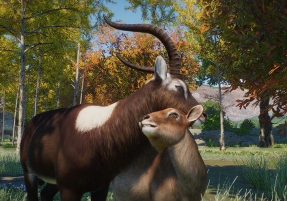 Learn the needs of your animals and create the best forever home for them!