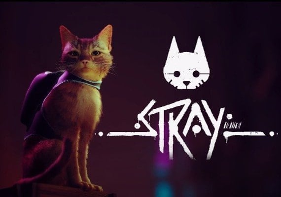 Stray
