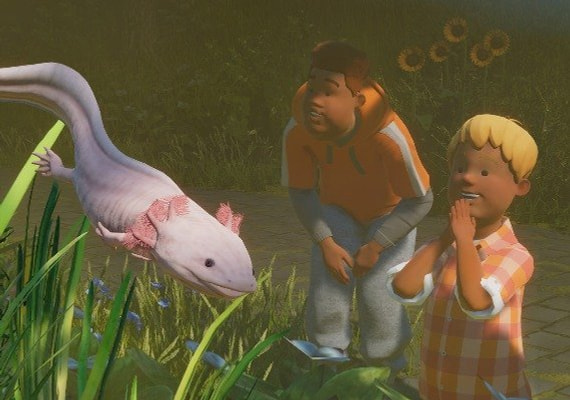 Mesmerize your visitors with new, exciting species of animals