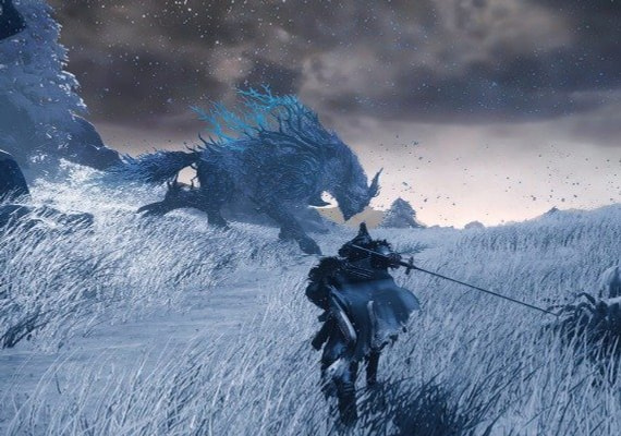 Explore beautiful Wild Hearts locations.