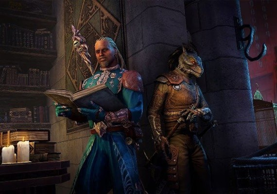 Meet two new companions who will assist you in your quest.