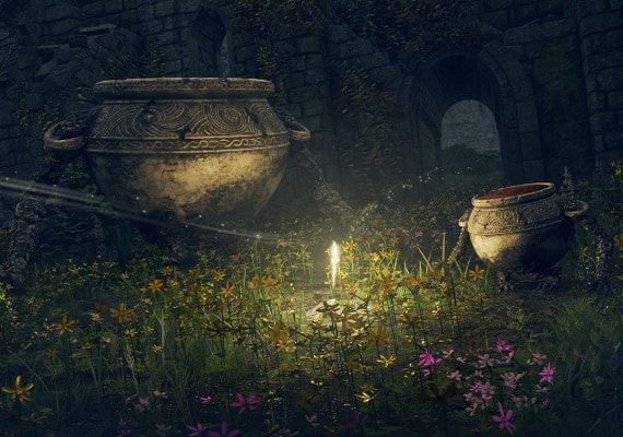 Explore a fascinating world.