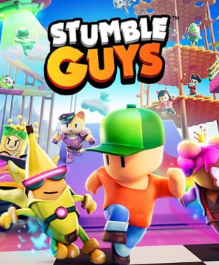 Stumble Guys Direct Top-Up
