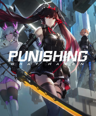 Punishing: Gray Raven Direct Top-Up
