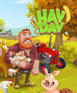 Hay Day Direct Top-Up