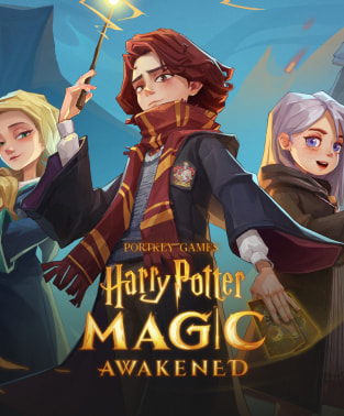 Harry Potter: Magic Awakened Direct Top-Up