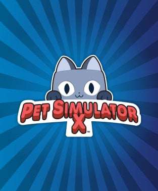 Roblox Pet Simulator X Direct Top-Up