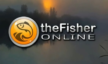 theFisher Online EN/RU EU Steam Gift
