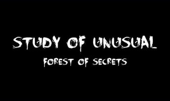 Study of Unusual: Forest of Secrets EN/RU Global Steam