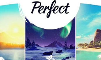 Perfect EU EU Steam