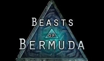 Beasts of Bermuda EN EU Steam Gift