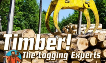 Timber! The Logging Experts EN/DE Global Steam