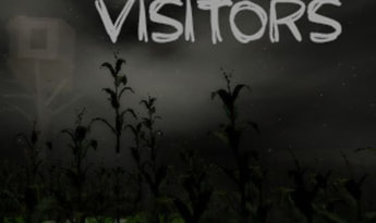 Visitors EN Global Steam