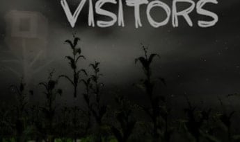 Visitors EN Global Steam