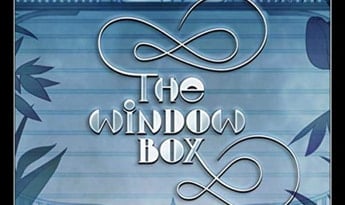 The Window Box EN Global Steam