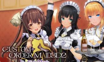 Custom Order Maid 3D2 It's a Night Magic EN EU Steam Gift