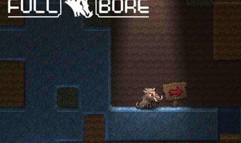 Full Bore EN Global Steam