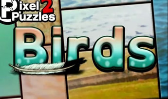 Pixel Puzzles 2: Birds EN Global Steam