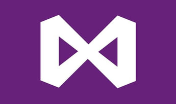 Visual Studio Professional 2019 EN Global MS Products