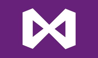 Visual Studio Professional 2019 EN Global MS Products