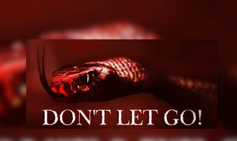 Don't Let Go! VR EN Global Steam