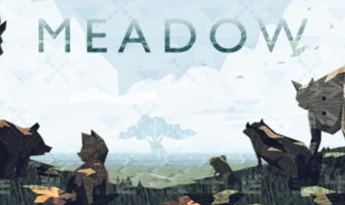 Meadow EN Global Steam