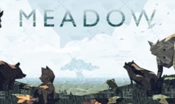 Meadow EN Global Steam