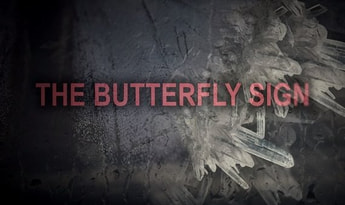 The Butterfly Sign: Human Error EN/DE/RU Global Steam