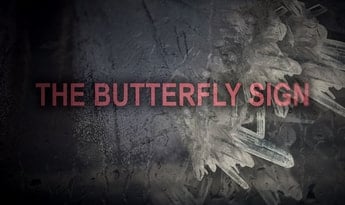 The Butterfly Sign: Human Error Steam Global