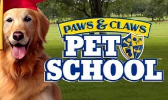 Paws and Claws: Pet School Steam Global