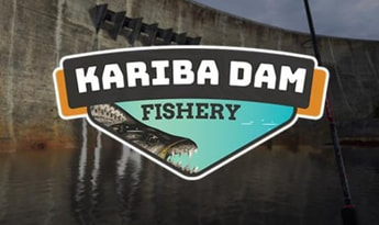 Ultimate Fishing Simulator - Kariba Dam DLC Global Steam