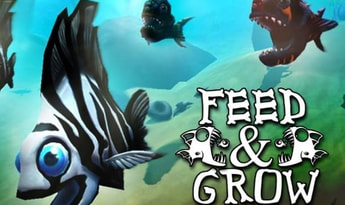 Feed and Grow: Fish EN Global Steam Gift