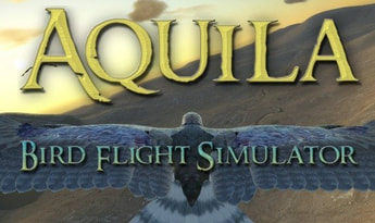 Aquila Bird Flight Simulator EN Global Steam