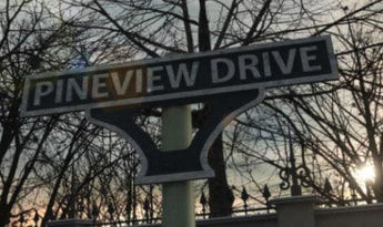 Pineview Drive Global Steam