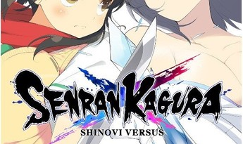 Senran Kagura: Shinovi Versus EN/JA Global Steam Gift