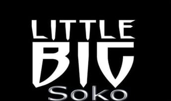 LittleBigSoko EN Global Steam
