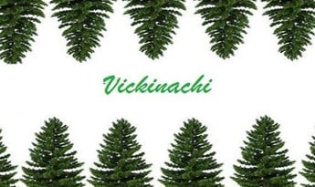 Vickinachi EN Global Steam