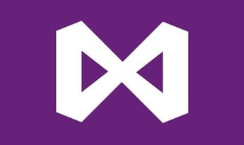 Visual Studio Enterprise 2019 Global MS Products