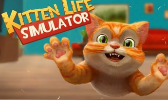 Kitten Life Simulator Global Steam