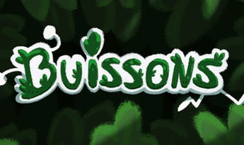 Buissons EN/FR Global Steam