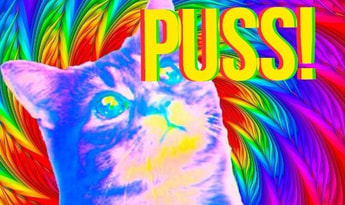 Puss! EN/DE/FR/PL/JA/PT/RU/UK Global Steam