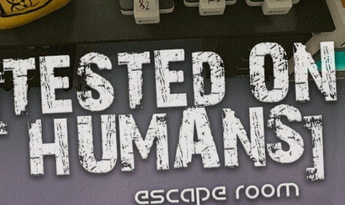 Tested on Humans: Escape Room Global Steam