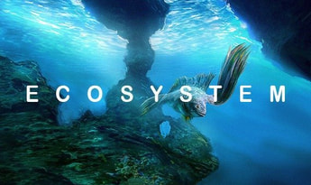 Ecosystem EN Global Steam Gift