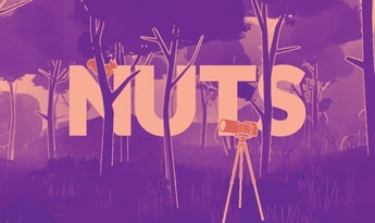 Nuts Global Steam
