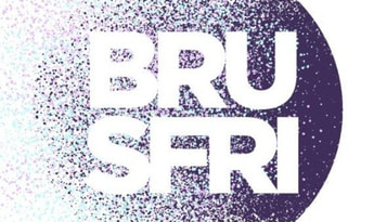 Klevgrand: Brusfri Noise Reducer EN Global Software License